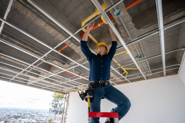 Best Leak Detection Services  in Southern View, IL