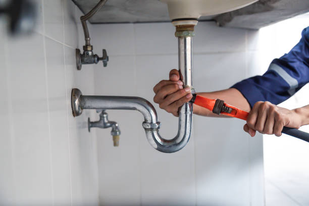 Best Plumbing Services Near Me  in Southern View, IL
