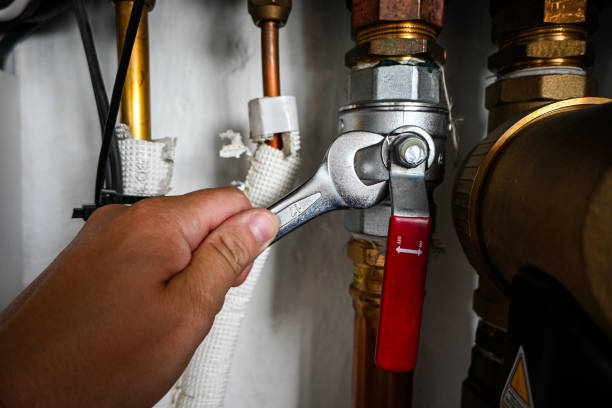 Best Water Leak Repair  in Southern View, IL